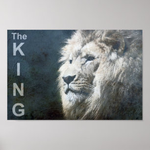 Benutzerdefinierte trendy Lion Template Nature Ani Poster