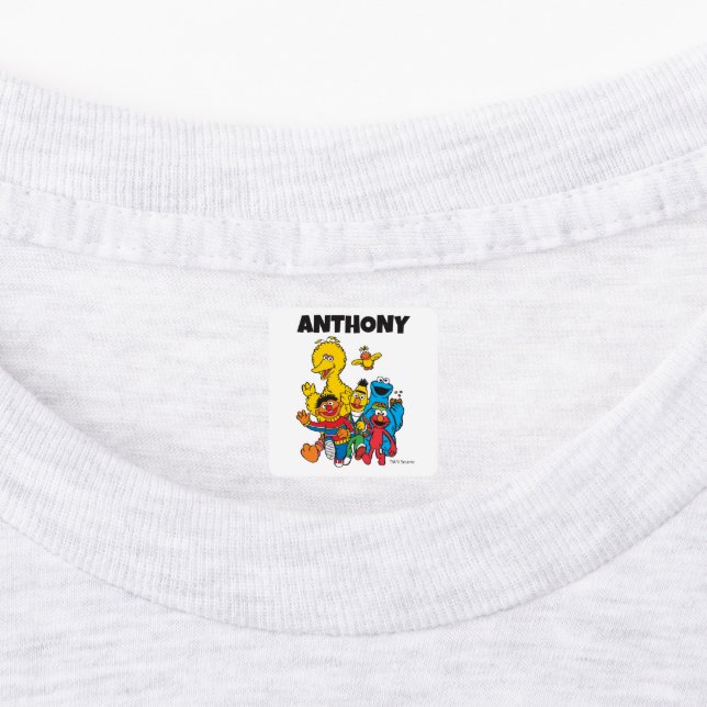 Benutzerdefinierte Vintage Sesamstraße Pals Kleidu Etiketten (Befestigt)