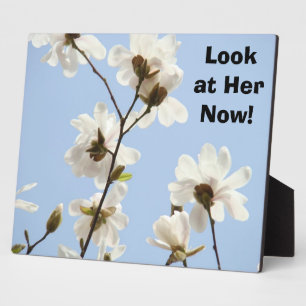 Benutzerdefinierte Zähler Schild Tafel Blau Magnol Fotoplatte
