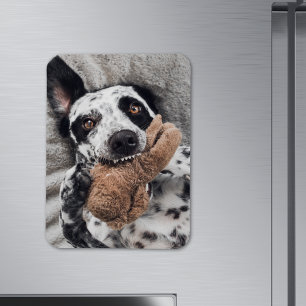 Benutzerdefinierter Foto-Kühlschrankmagnet Magnet