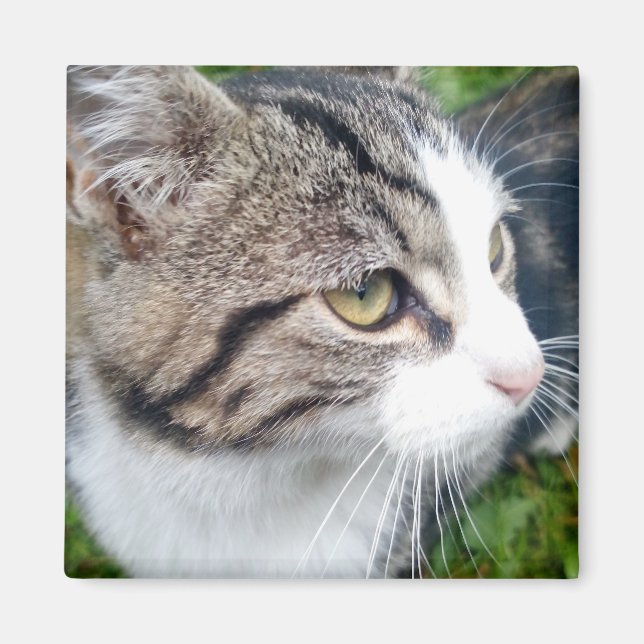 Benutzerdefinierter Foto-Magnet für Kühlschrank |  Magnet (Vorne)