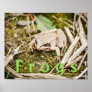 Benutzerdefinierter "Frösche" Amphibien Wald-Frosc Poster