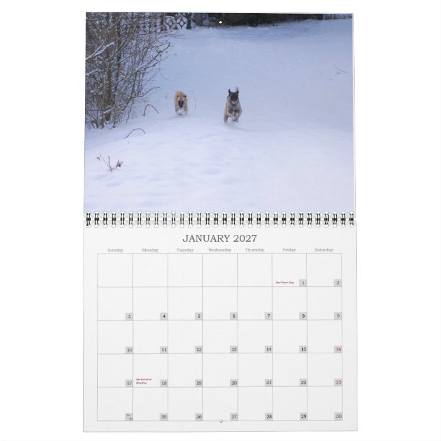 Benutzerdefinierter gedruckter Kalender (Jan 2027)