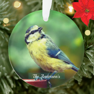 Benutzerdefinierter Gelbbrust-Vogelfoto-Personalis Ornament