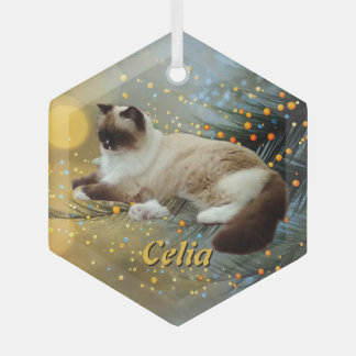Benutzerdefinierter Glas-Weihnachtsbaum-Haustier-S Ornament Aus Glas
