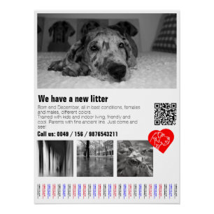 Benutzerdefinierter Great Dane-Abreißposter Poster