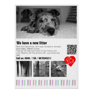 Benutzerdefinierter Great Dane-Welpen-Abreißposter Poster