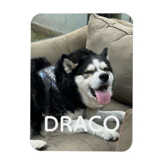 Benutzerdefinierter Hund-Foto-Magnet mit Namen - P Magnet