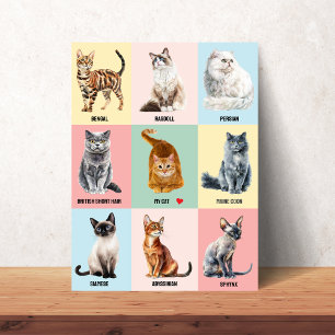 Benutzerdefinierter Katzenrassenposter – Fügen Sie Poster