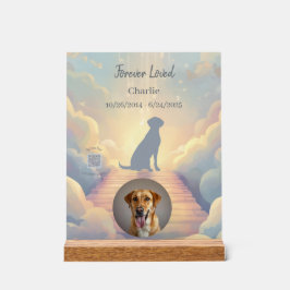 Benutzerdefinierter Labrador Retriever Gedenkfoto- Acrylschild