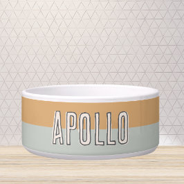 Benutzerdefinierter, moderner Name des zwei Tone-T Napf