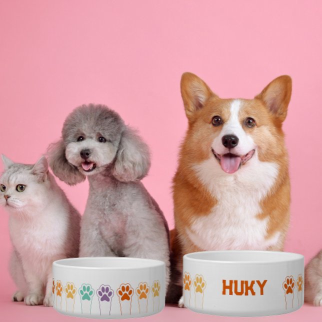 Benutzerdefinierter Name des Hauses Niedlich farbi Napf (Von Creator hochgeladen)