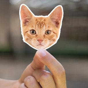 Benutzerdefinierter Pet-Aufkleber für benutzerdefi Aufkleber