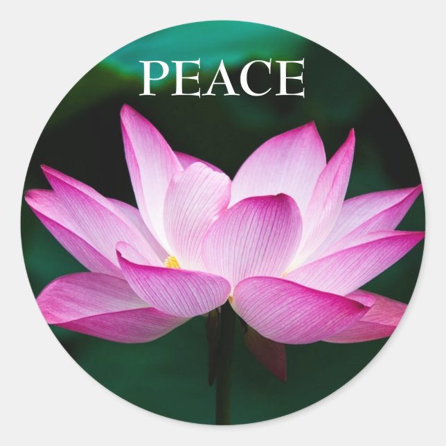 Benutzerdefinierter Text Zen Pink Lotus Blume Frie Runder Aufkleber (Vorderseite)