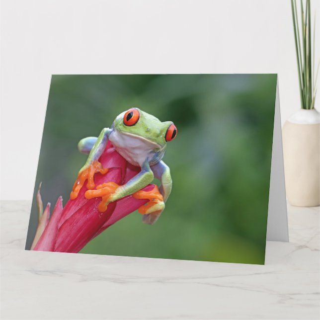 Benutzerdefinierter Textfrosch Karte (Vorderseite)