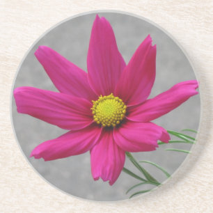 Benutzerdefinierter Untersetzer der rosa Blume