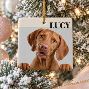 Benutzerdefinierter Weihnachts-Foto-Schmuck Hund & Keramikornament
