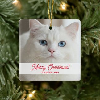 Benutzerdefinierter Weihnachtsbaumschmuck mit Bild Keramikornament