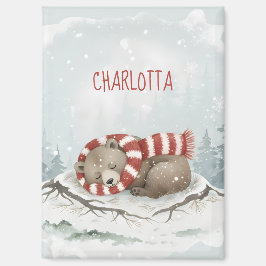 Benutzerdefinierter Winterbär-Magnet Magnet