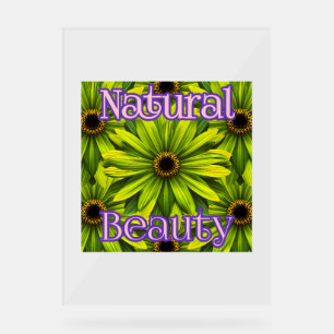 Benutzerdefiniertes 18" x 24" Acrylzeichen Acrylschild