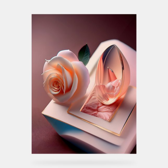 Benutzerdefiniertes 18" x 24" Acrylzeichen Acrylschild (Vorderseite)