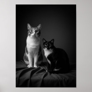 Benutzerdefiniertes 4K Schwarz-Weiß-Haustier-Portr Poster