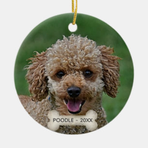 Benutzerdefiniertes Apricot-Pudel-Hundefoto Keramik Ornament