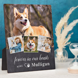 Benutzerdefiniertes Beileid für Hunde-Memorial 4 F Fotoplatte