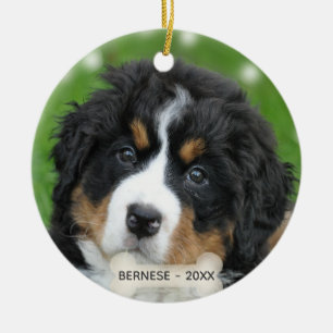 Benutzerdefiniertes Berner Sennenhund-Foto Keramik Ornament