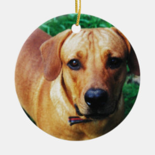 Benutzerdefiniertes Bild Personalisiertes 2-seitig Keramik Ornament