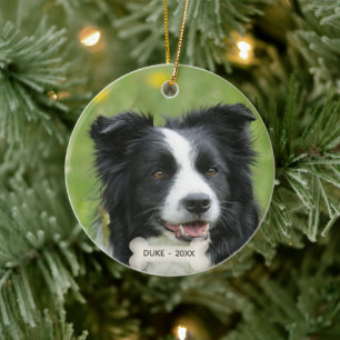 Benutzerdefiniertes Border Collie-Hundefoto Keramik Ornament