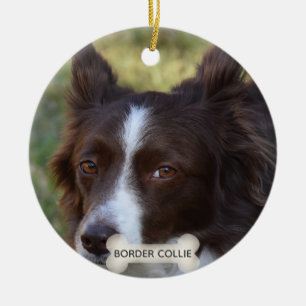 Benutzerdefiniertes braunes Border Collie-Hundefot Keramik Ornament