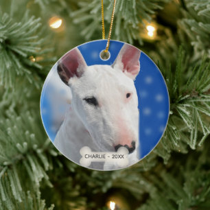 Benutzerdefiniertes Bull Terrier Hund Foto Keramik Ornament