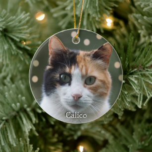 Benutzerdefiniertes Calico-Katzen-Foto personalisi Keramik Ornament