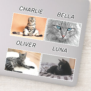 Benutzerdefiniertes Cat-Foto und Katzenname Person Aufkleber