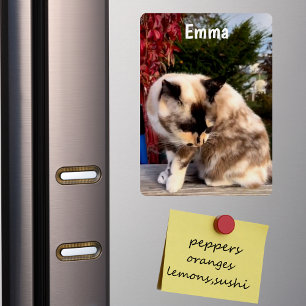 Benutzerdefiniertes Familienhaustier, Katzenfoto K Magnet
