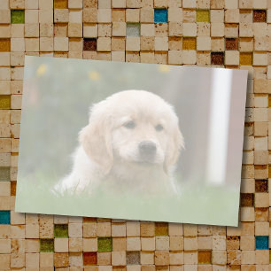 Benutzerdefiniertes Foto   Auto Konvertieren Sie I Post-it Klebezettel