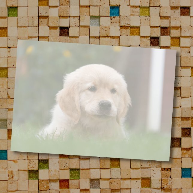 Benutzerdefiniertes Foto | Auto Konvertieren Sie I Post-it Klebezettel (Von Creator hochgeladen)