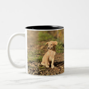 Benutzerdefiniertes Foto (Eigenes Foto und/oder Te Zweifarbige Tasse