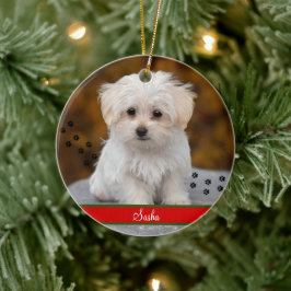 Benutzerdefiniertes Foto für Haustiere ~ Personali Keramik Ornament