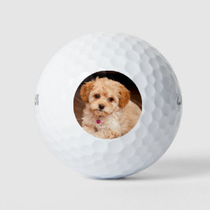 Benutzerdefiniertes Foto für Heimtiere Golfball