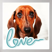Benutzerdefiniertes Foto für Heimtiere mit LIEBE i