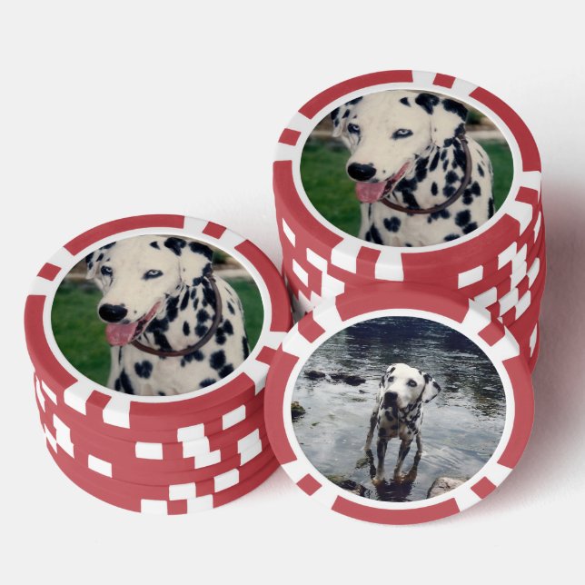 Benutzerdefiniertes Foto für Niedliche Begleiter - Pokerchips (Stapel)