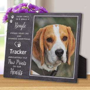 Benutzerdefiniertes Foto Haustier Hund Beagle Gede Fotoplatte