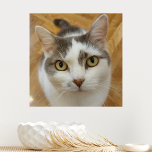 Benutzerdefiniertes Foto-Image Künstlicher Leinwanddruck<br><div class="desc">Laden Sie Ihr Foto hoch und erstellen Sie Ihre personalisierte Imitat Leinwand drucken. Sie können dieses Design auf anderen Zazzle-Produkten übertragen und an die meisten Zazzle-Produkte anpassen. Sie können auch auf die Schaltfläche CUSTOMIZE klicken, um Details wie Hintergrundfarbe, Text, Schriftart oder einige Grafiken hinzuzufügen, zu löschen oder zu ändern. Standard...</div>