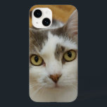 Benutzerdefiniertes Foto iPhone 12 Fall-Mate-Telef Case-Mate iPhone 14 Hülle<br><div class="desc">Laden Sie ein Foto hoch und erstellen Sie einfach Ihr personalisiertes Foto iPhone Gehäuse. Sie können dieses Design auf anderen Zazzle-Produkten übertragen und an die meisten Zazzle-Produkte anpassen. Sie können auch auf ANDERE KLICKEN, um Details wie Hintergrundfarbe, Text, Schriftart oder einige Grafiken hinzuzufügen, zu löschen oder zu ändern. Vielen Dank,...</div>