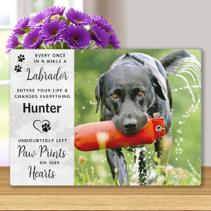 Benutzerdefiniertes Foto Labrador Retriever Memori Fotoplatte