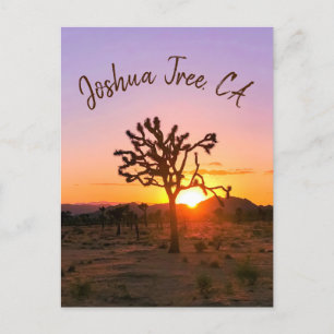 Benutzerdefiniertes Foto Lila Orange Joshua Tree S Postkarte