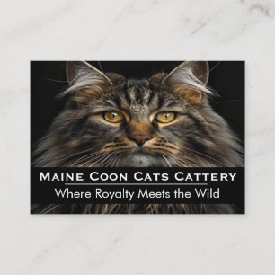 Benutzerdefiniertes Foto Maine Coon Cattery Profes Visitenkarte