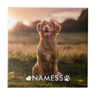 Benutzerdefiniertes Foto mit dem Namen Ihres Hunde Fliese